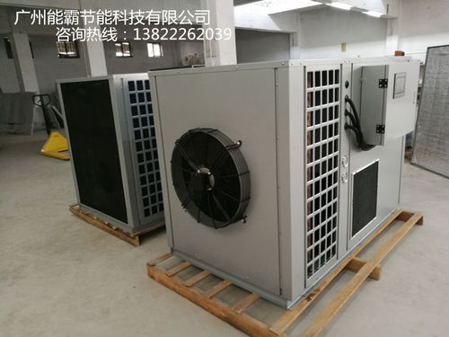 菠蘿片烘干機選購指南 廠家價格、圖片與批發(fā)渠道解析