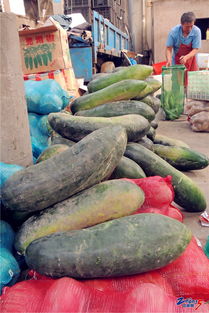 橫山橋農(nóng)副產(chǎn)品批發(fā)市場(chǎng) 新鮮平價(jià)，市民的菜籃子好去處